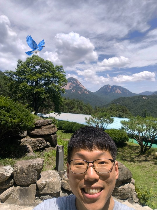 글에 첨부된 사진