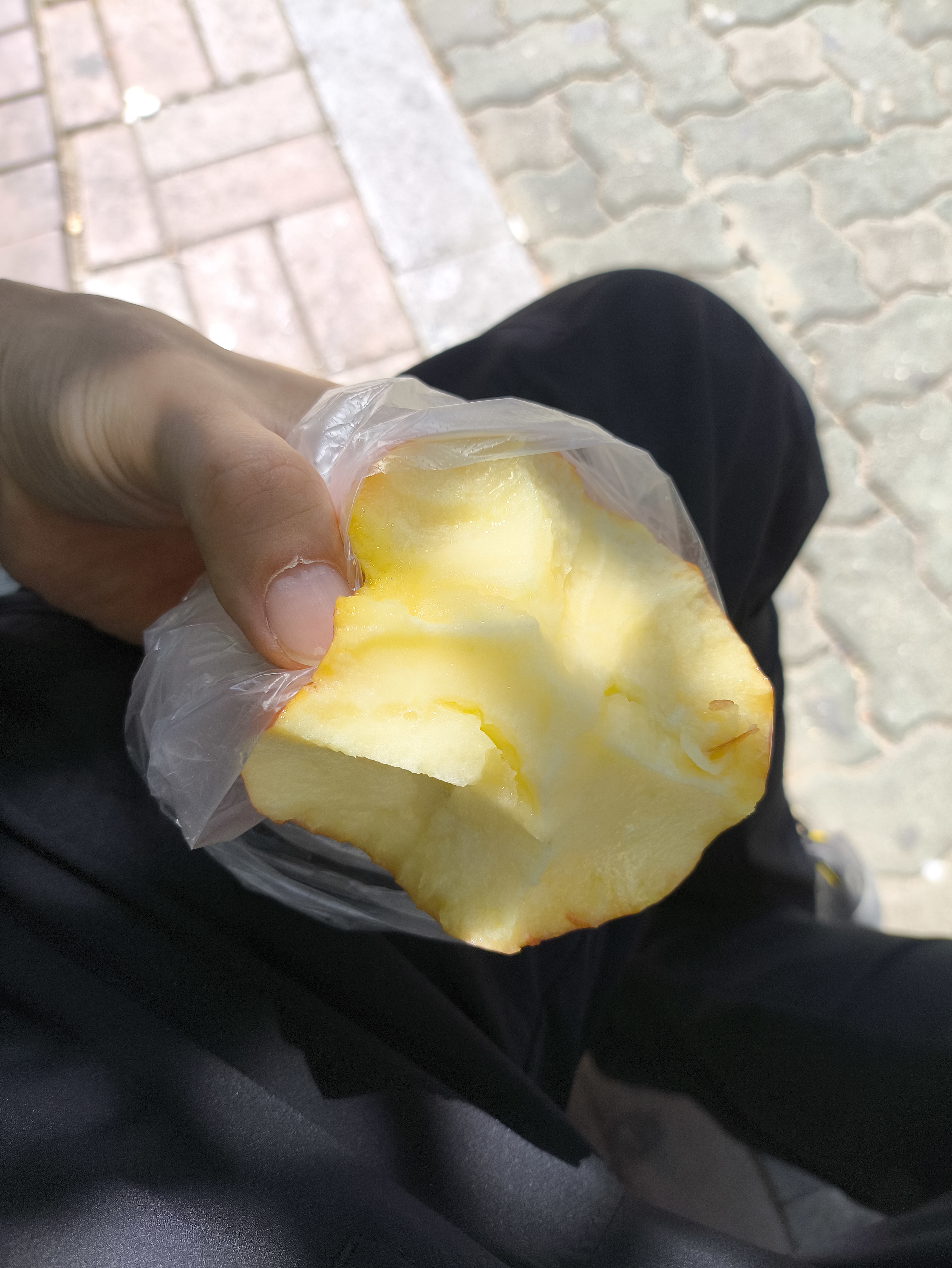 글에 첨부된 사진